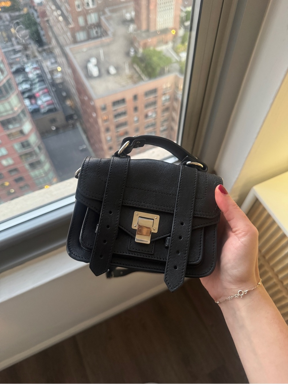 Proenza Schouler micro bag